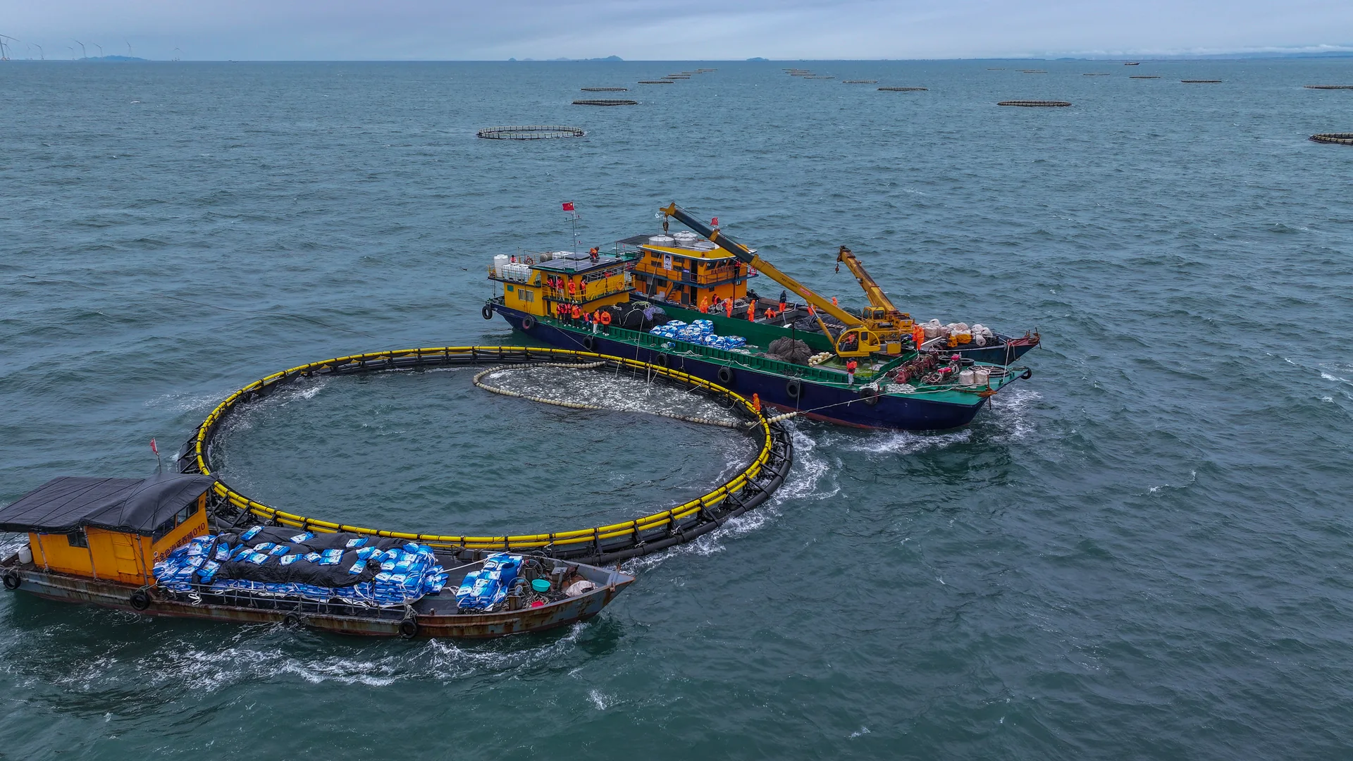 About Golden Fisheries