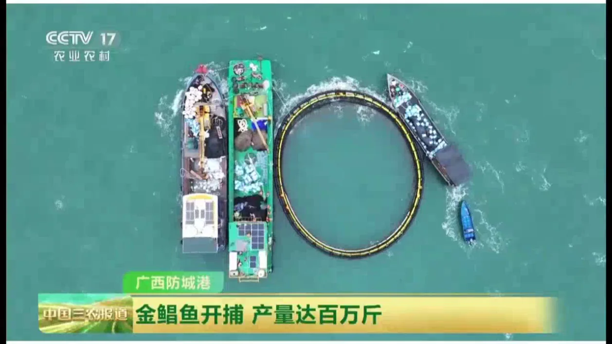 Smart Feeding and Digital Management for Offshore Aquaculture